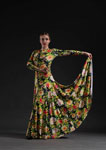 Flamenco Dance Dress Soraya. Davedans 151.200€ #504695014